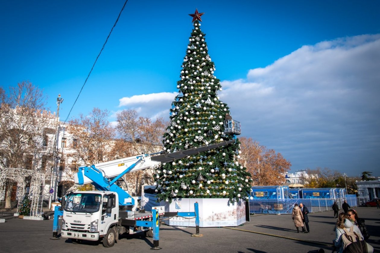 Новую елку установили в центре Севастополя Соцсети М. Развожаева