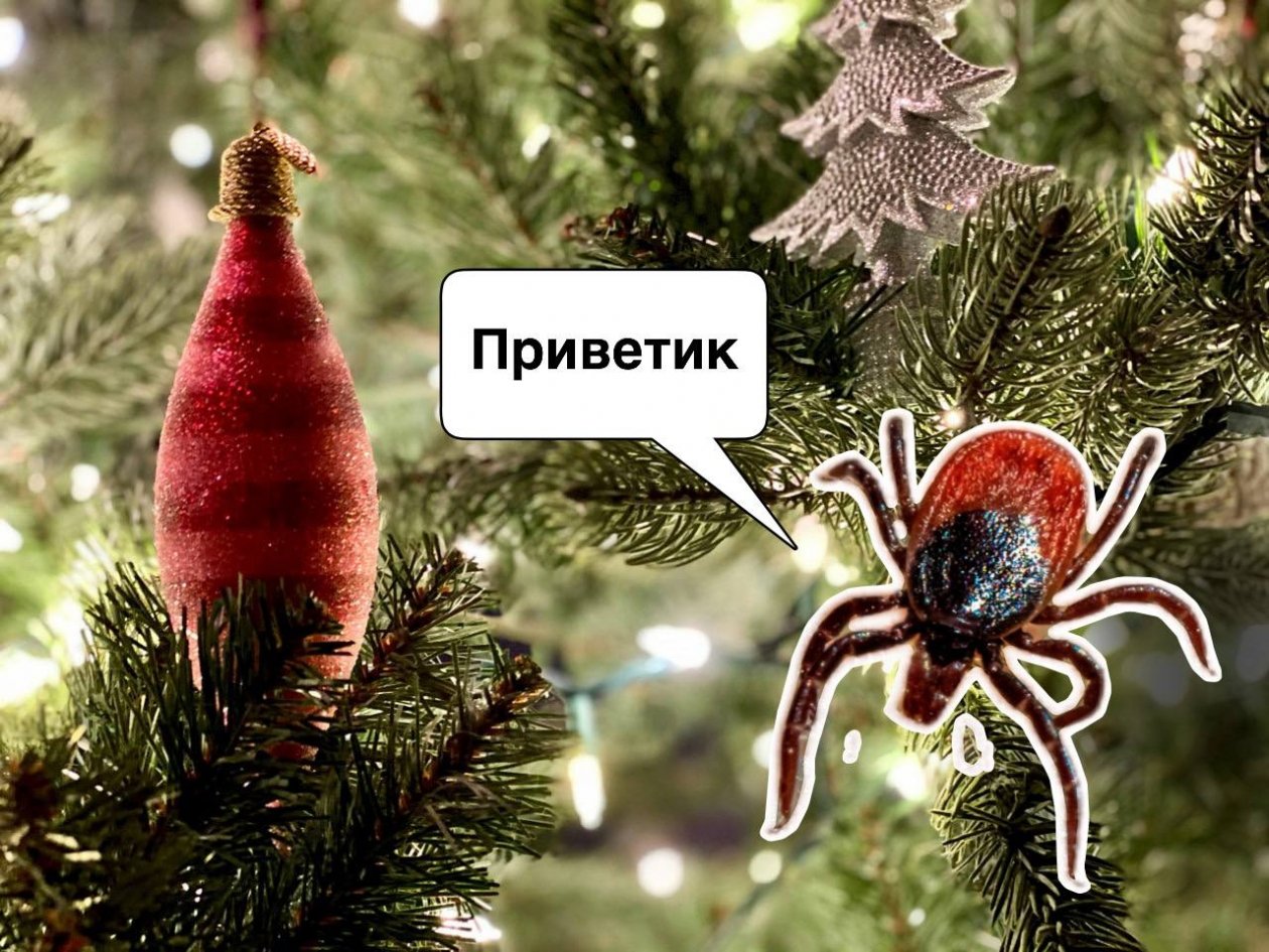 Тематическое фото Коллаж unsplash.com