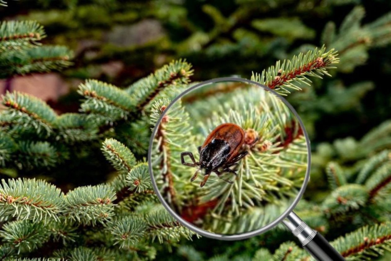 Тематическое фото ИА OmskMedia