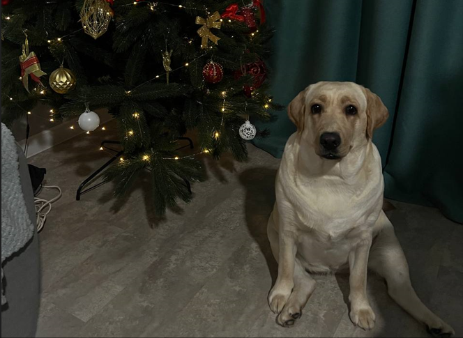 Тематическое фото ИА Stavropol.Media