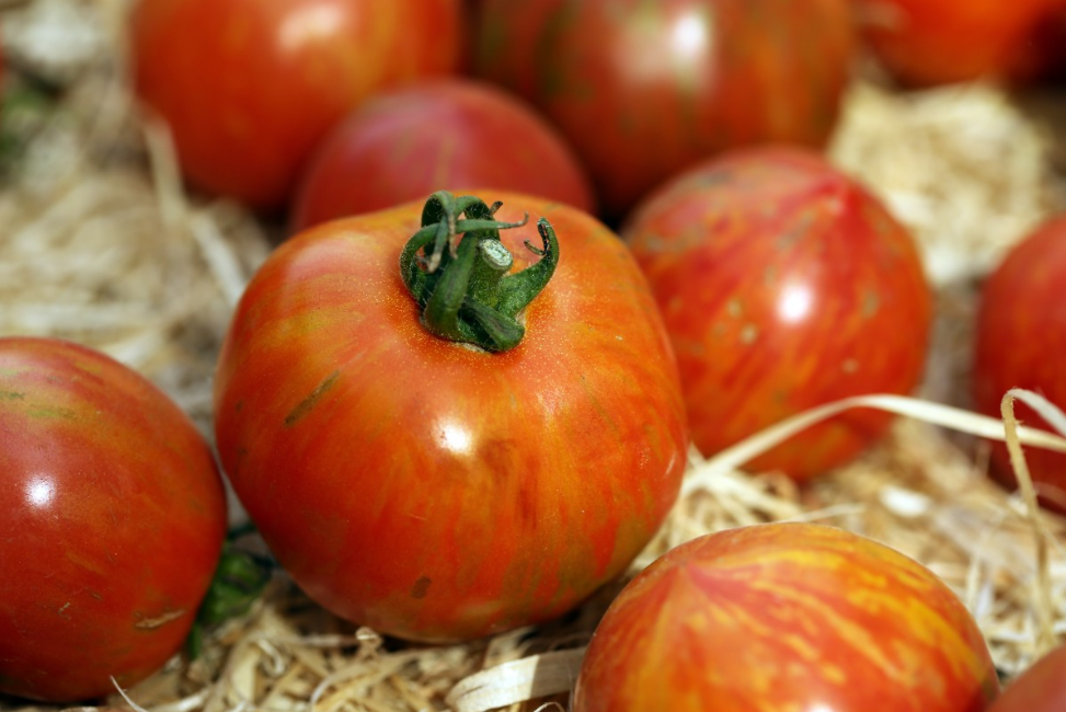 Тематическое фото pxhere.com