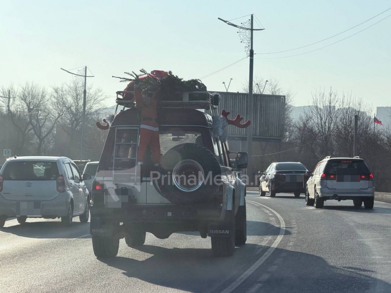 Tg-канал «primamedia» (18+)