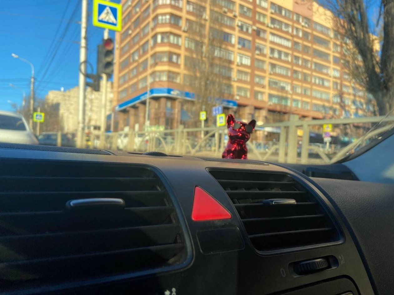  ИА SevastopolMedia