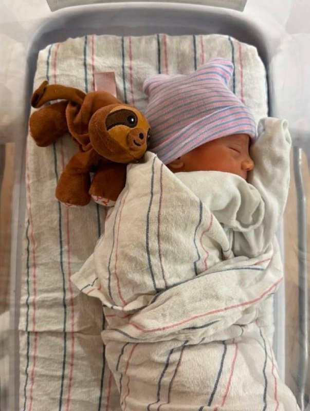 Соцсети знаменитостей