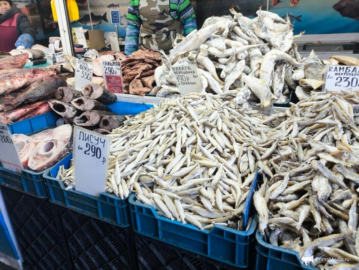 Тематическое фото ИА PrimaMedia