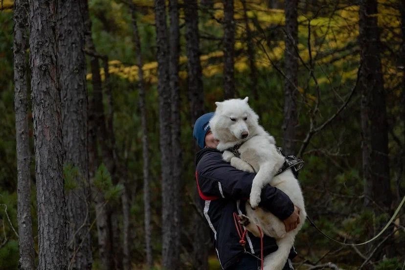 Правительство Магаданской области
