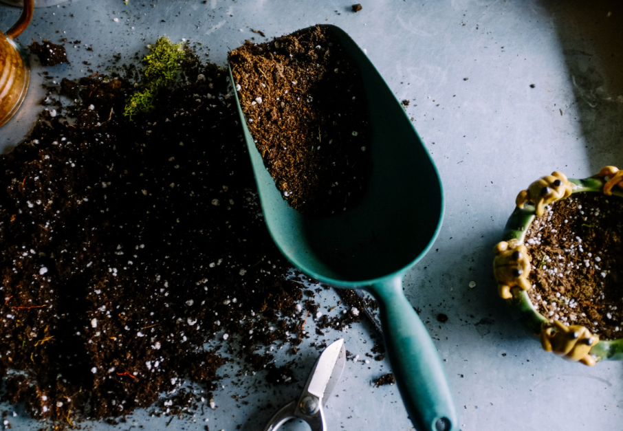 Тематическое фото pxhere.com (18+)