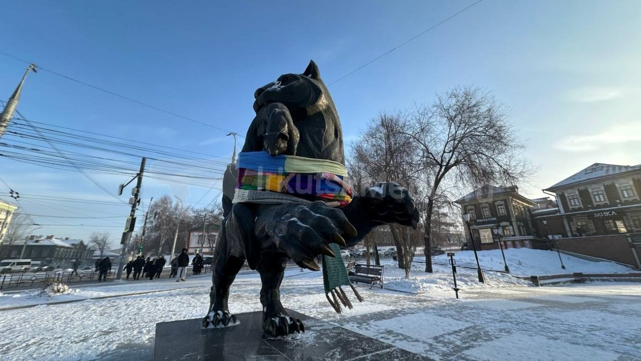 Снятый неизвестными 18-метровый шарф вернули бабру в Иркутске Юлия Ушакова, ИА IrkutskMedia