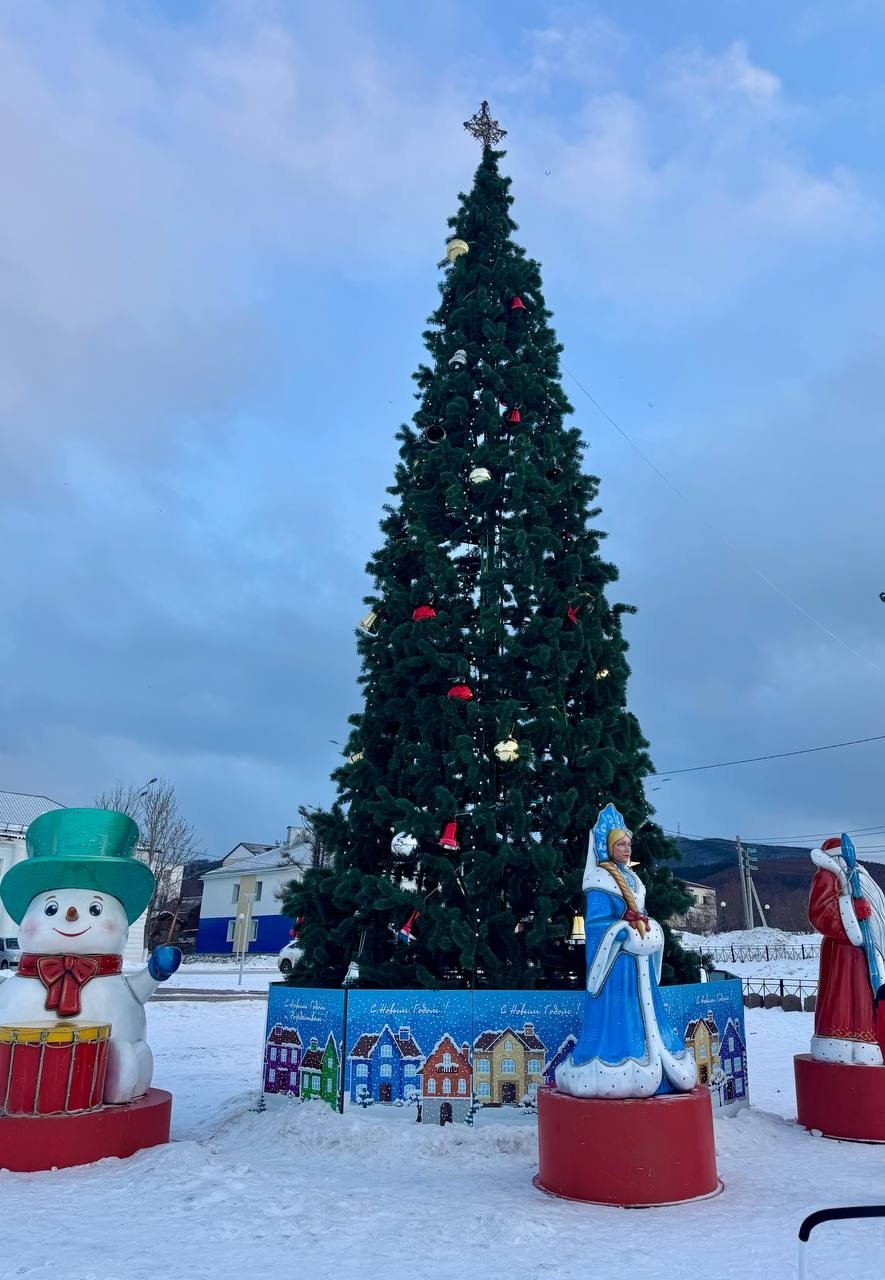 представлено администрацией Томаринского муниципального округа