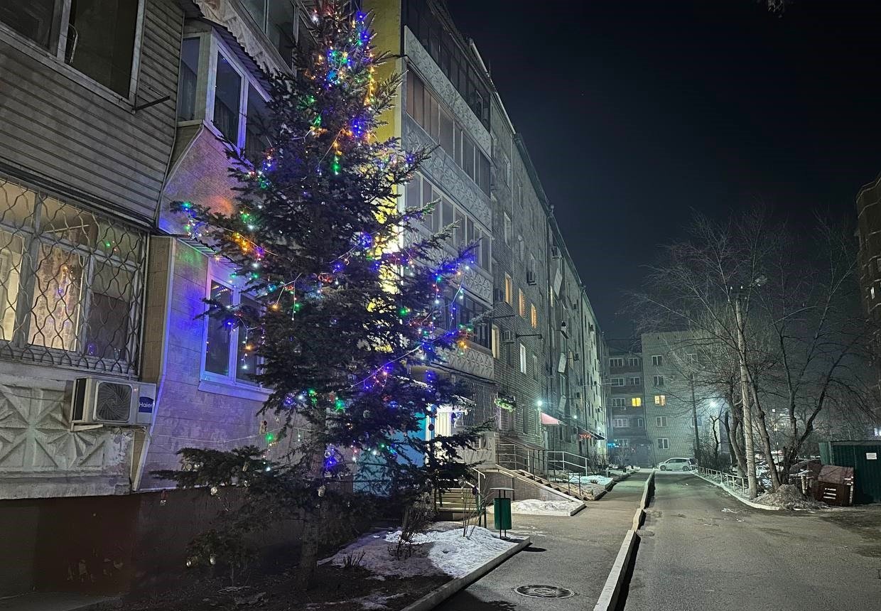 Блистательная ёлка предоставила Евгения Химич