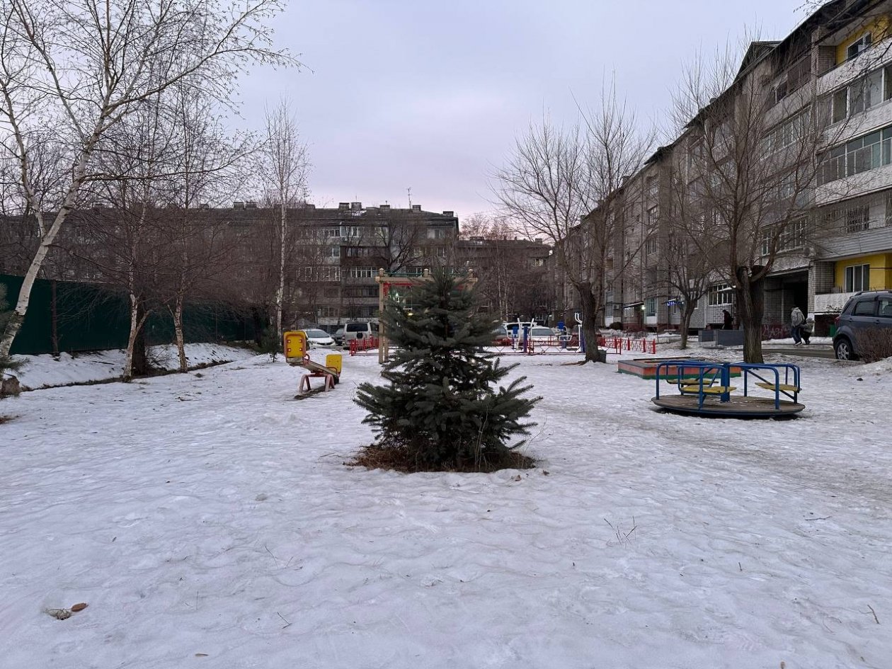 предоставила Евгения Химич