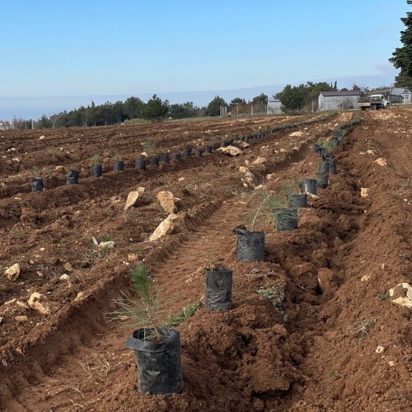 Правительство Севастополя