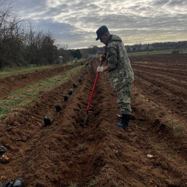 Правительство Севастополя