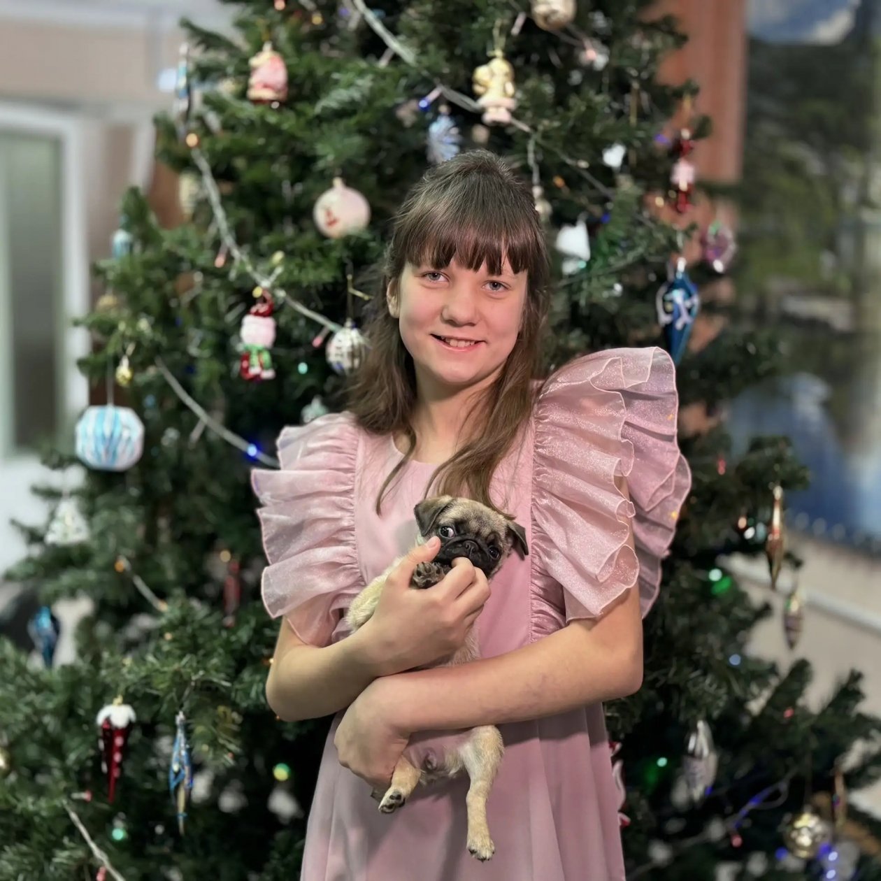 . Ксения Роговая, сайт правительства Красноярского края