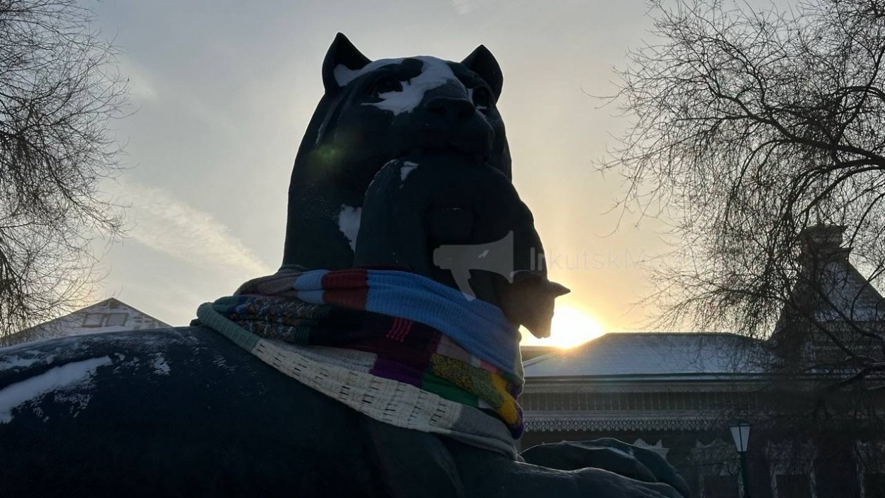 Бабру вернули шарф Юлия Ушакова, ИА IrkutskMedia