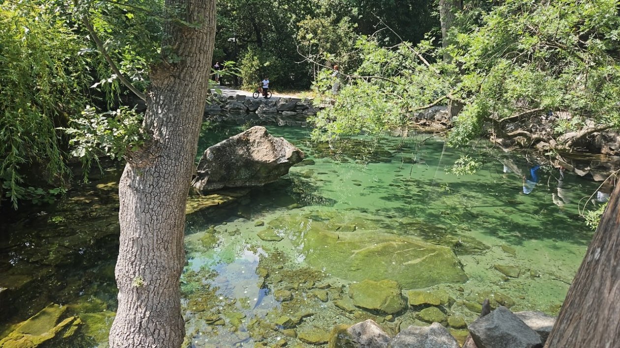 ИА SevastopolMedia