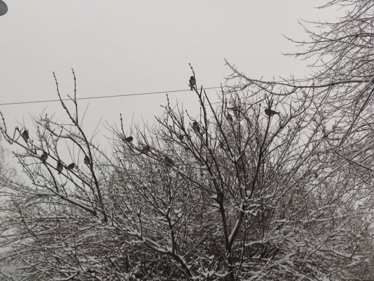 Тематическое фото ИА Stavropol.Media