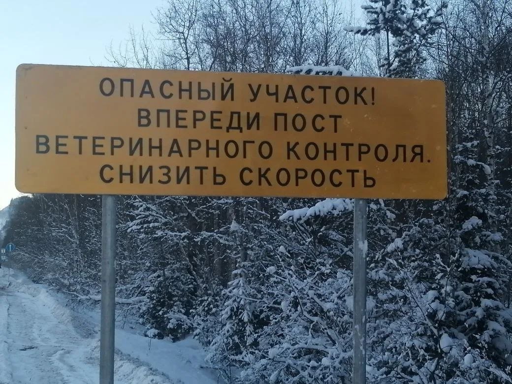 За один день 5 тонн нелегального мяса пытались провести в Иркутскую область правительство Иркутской области