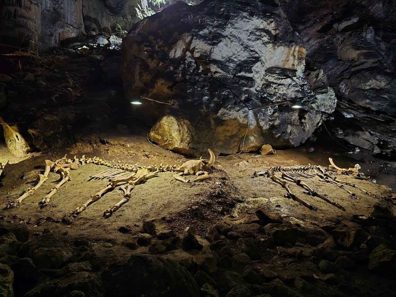 Пещера Эмине-Баир-Хосар Алексей Парамонов, ИА SevastopolMedia