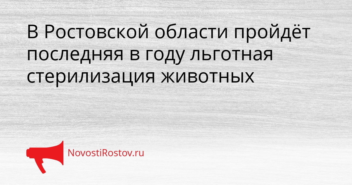 В Ростовской области пройдёт последняя в году льготная стерилизация животных Сгенерировано