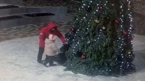 Отец подверг опасности детей, позволив им залезть внутрь ёлки в Иноземцево Скриншот видео из соцсетей Евгения Бакулина