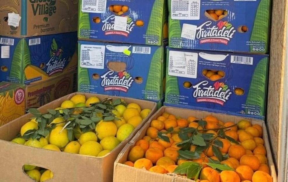 Около 38 тысяч тонн цитрусовых ввезли на Кубань за месяц Пресс-служба ЮМУ Россельхознадзора