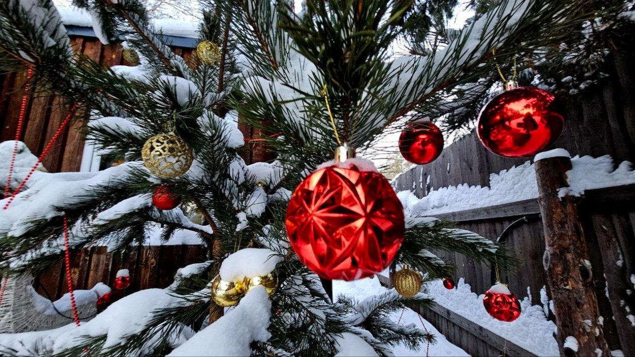 Тематическая иллюстрация Пресс-служба компании МегаФон