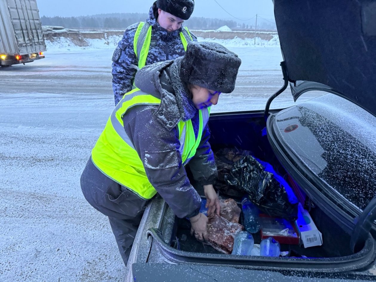 В Бурятию хотели ввезти из Забайкалья 6,5 тыс. тонн подозрительного мяса Россельхознадзор