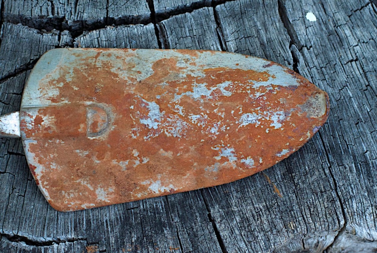 Тематическое фото pxhere.com