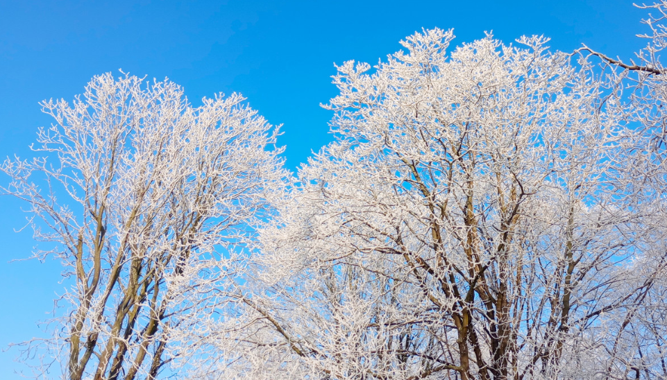 Тематическое фото pxhere.com