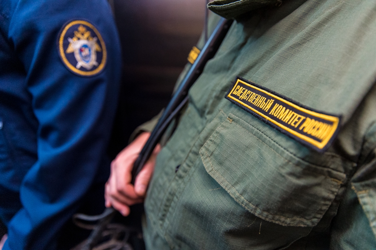 Бастрыкину доложат о нападении бродячей собаки на подростка в Краснодаре Илья Аверьянов