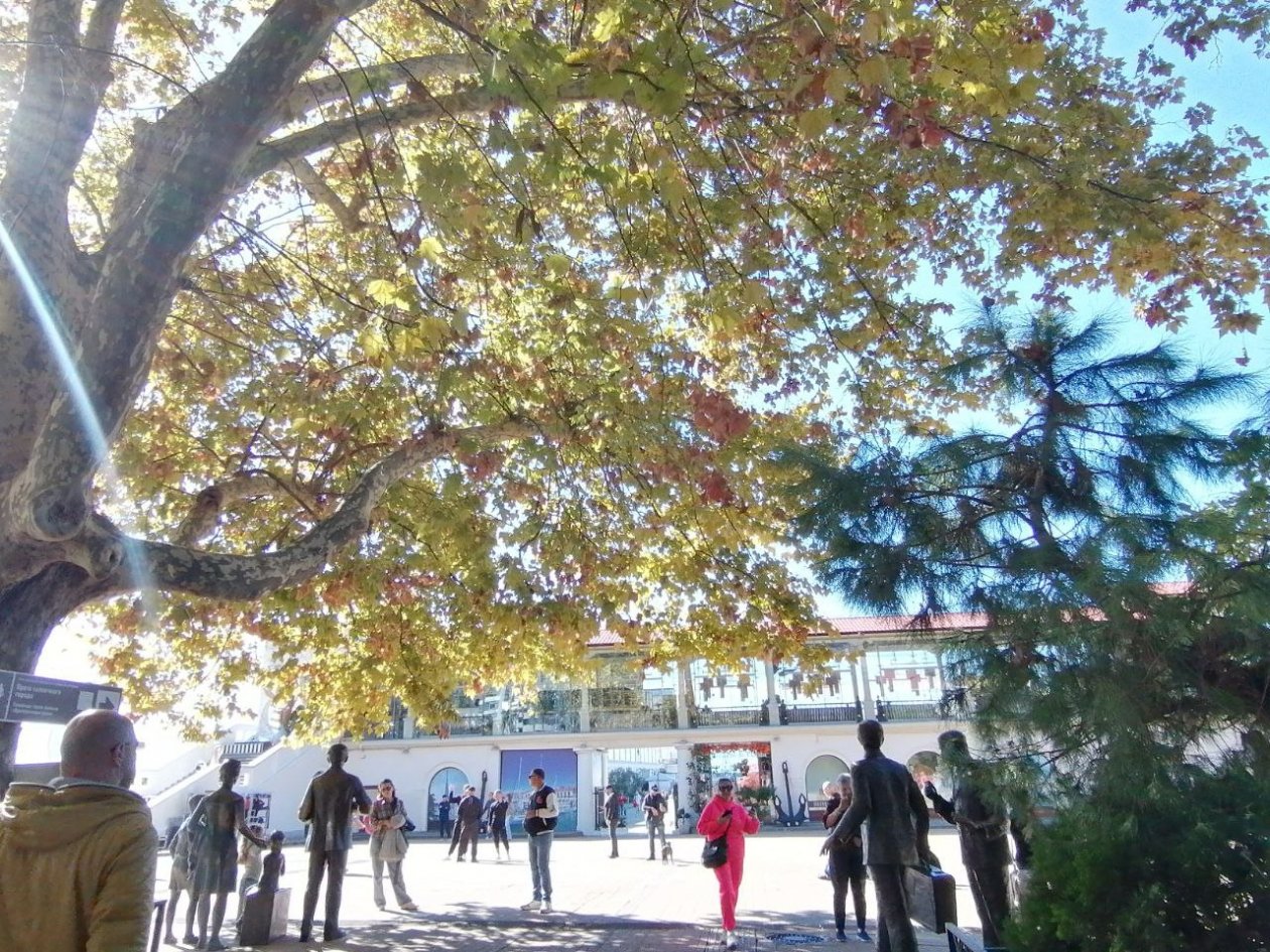 Москва и Сочи лидируют по бронированиям жилья у парков отдыха Карина Подкина