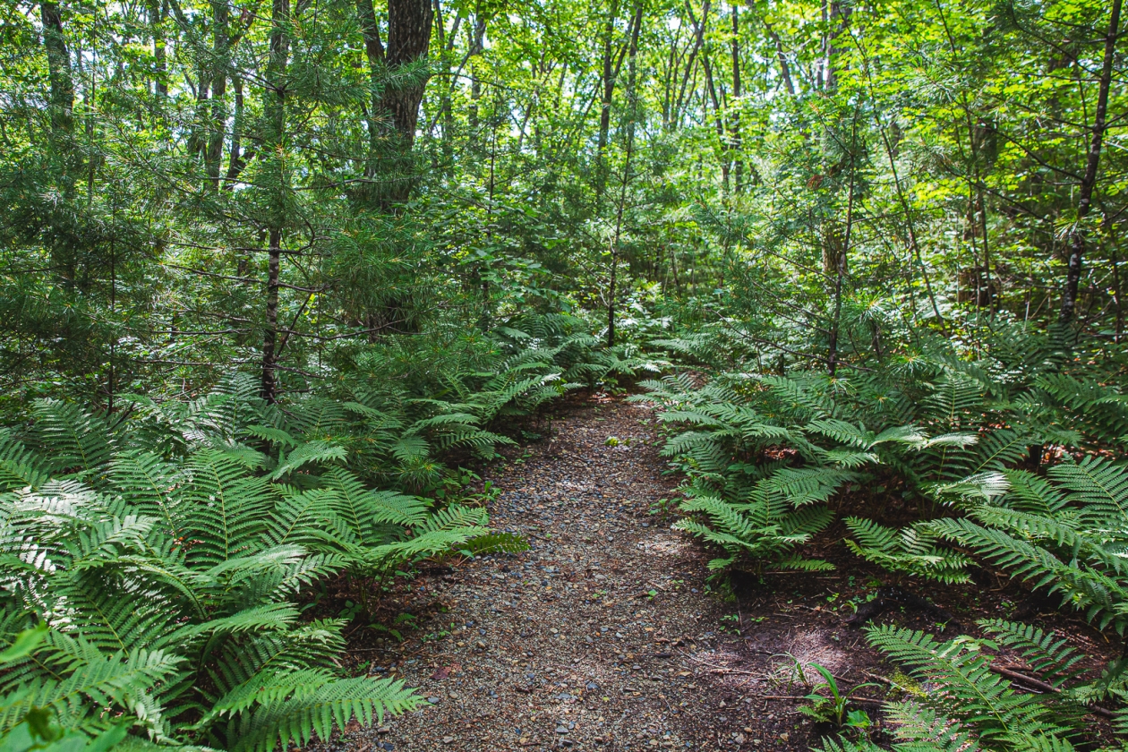 В сочинском нацпарке не подтвердили данные о &quotсерой зоне&quot для туристов Мария Бородина