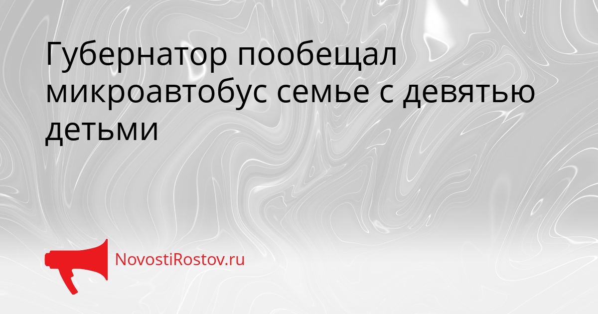 Губернатор пообещал микроавтобус семье с девятью детьми Сгенерировано