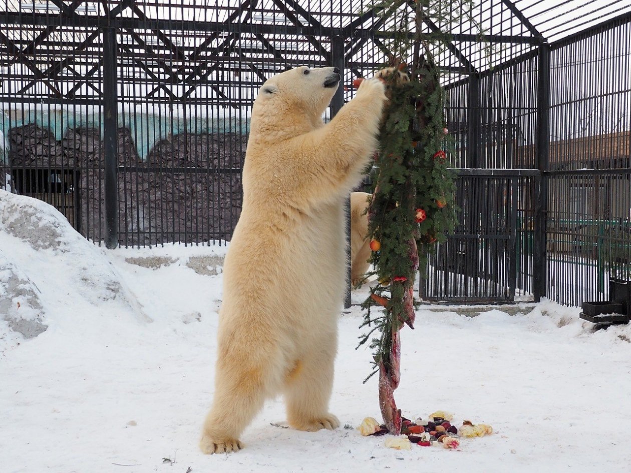 . пресс-служба парка &quotРоев ручей&quot