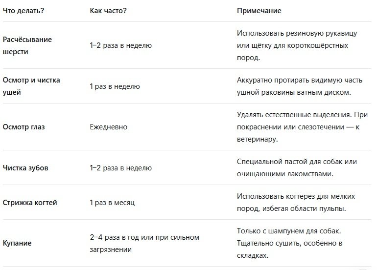 ИА Stavropol.Media