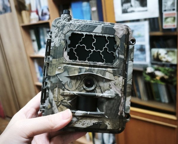 Фотоловушки Seelock S378 мгновенно передают фото и видео благодаря мощной 4G-антенне, Бурприрода