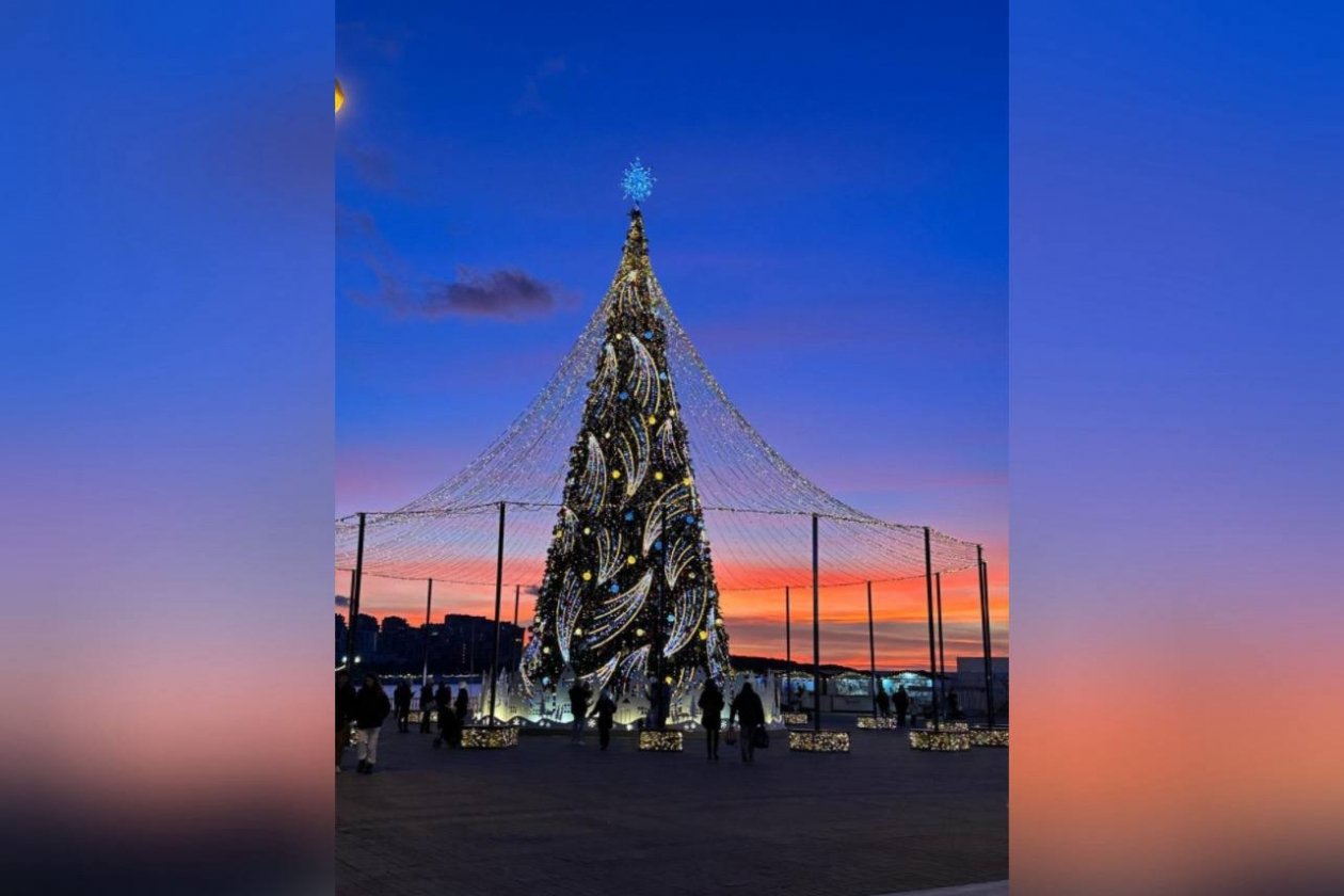 Анна Задвернюк