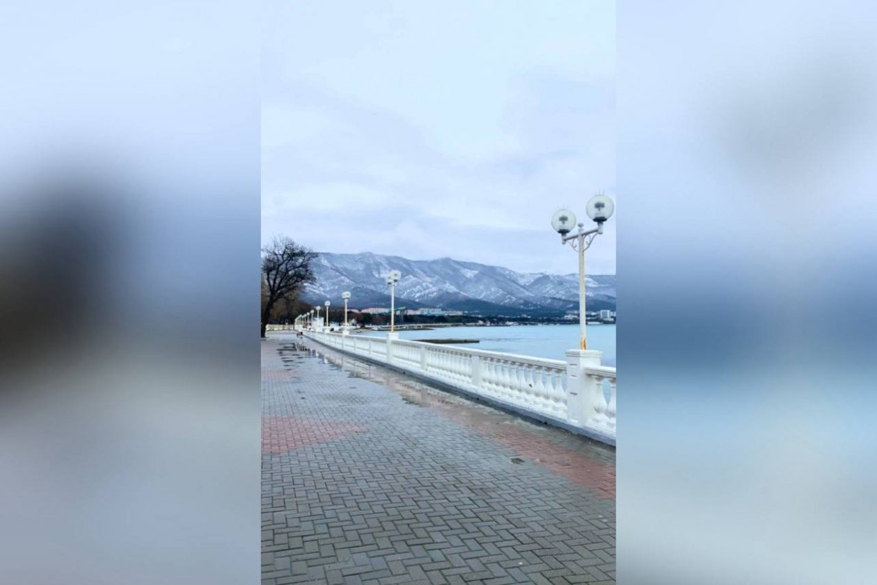 Анна Задвернюк