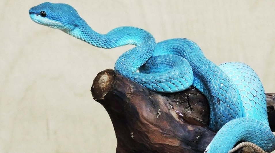 Тематическое фото mos.ru