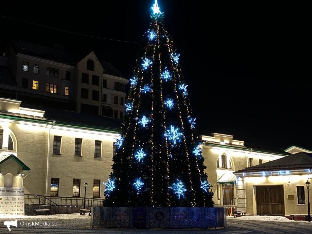 Главная городская ёлка ИА OmskMedia