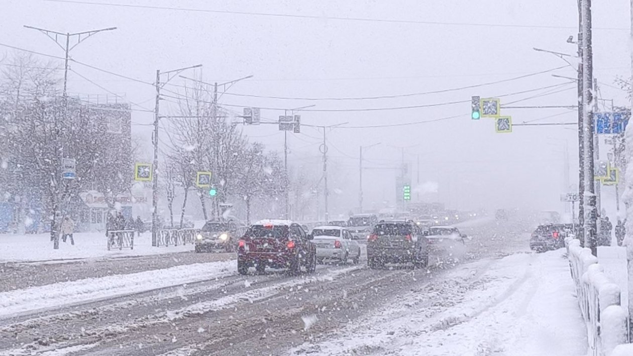 Фото Ирина Васильева, ИА KamchatkaMedia