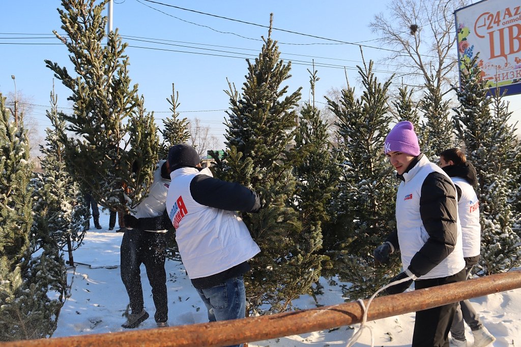 Тематическое фото Пресс-служба администрации Хабаровска