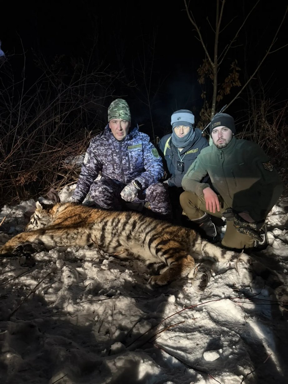 Тематическое фото Управление охотничьего хозяйства Правительства Хабаровского края