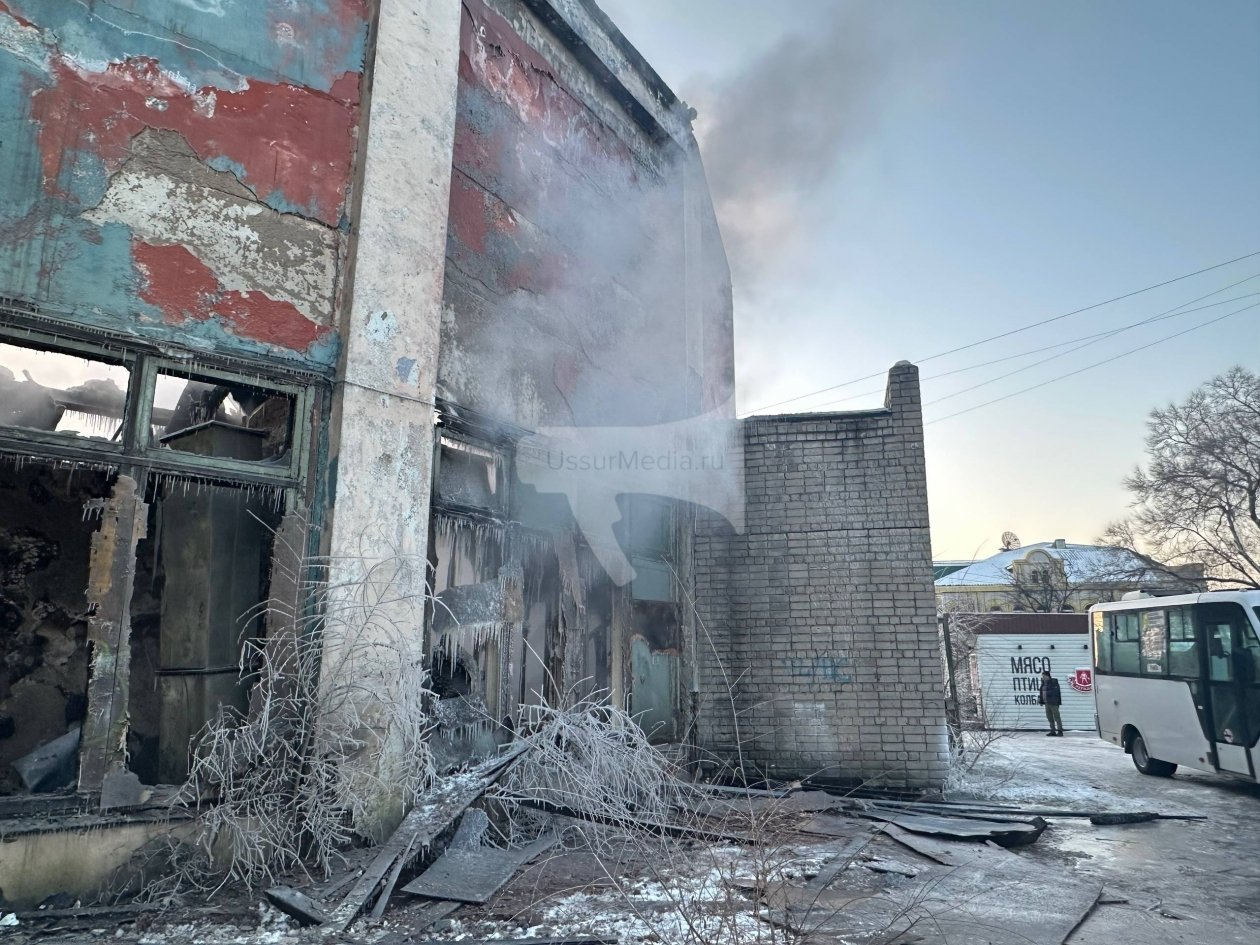 Что осталось после пожара в цирке Александр Шепырев, ИА UssurMedia