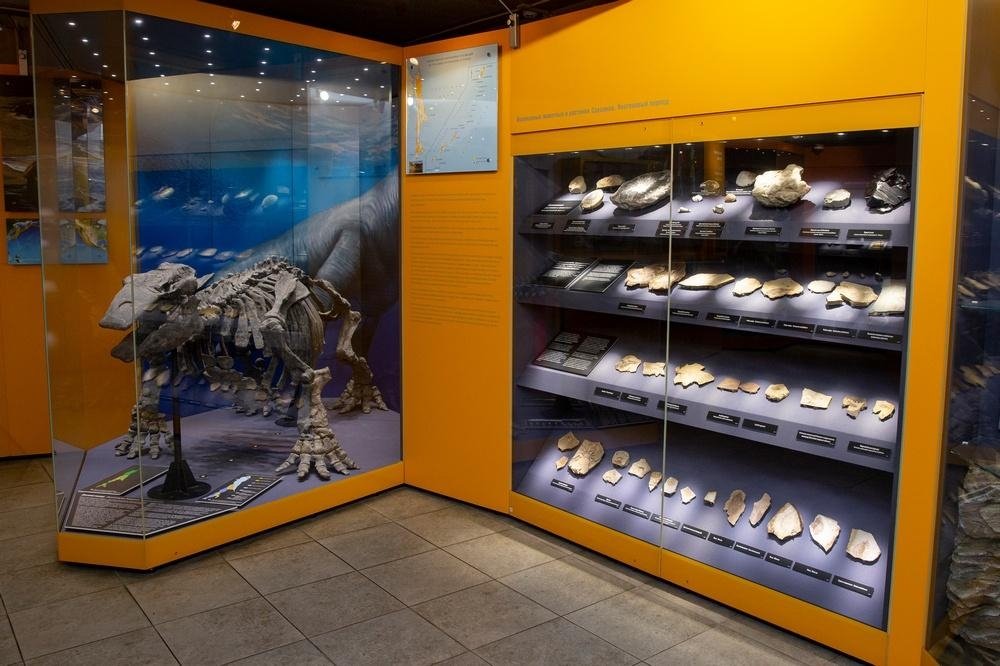 Фотоархив СОКМ / А.Б. Криулькина