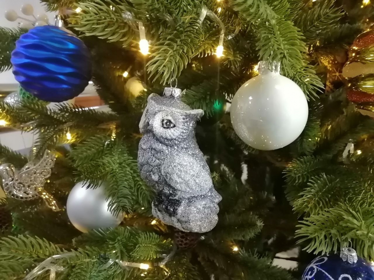 Новогодние украшения Анета  Абрамченко, ИА ChitaMedia