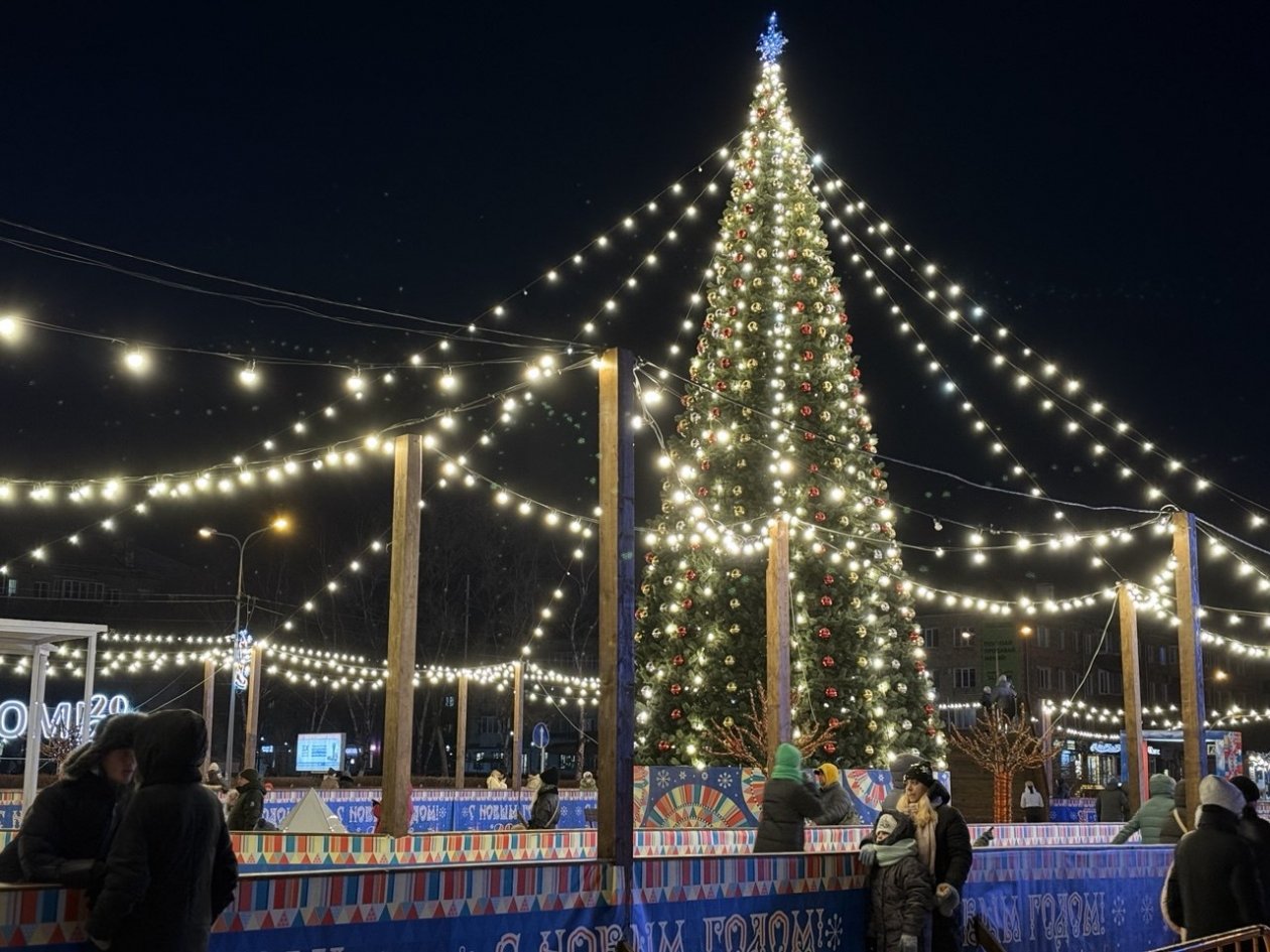 Новый год вдали от дома: россияне готовы платить больше за особую атмосферу Марина Кудрявцева, ИА UssurMedia