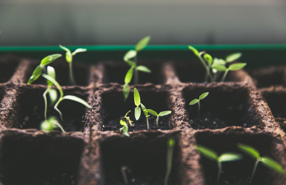 Тематическое фото Pxhere.com (18+).