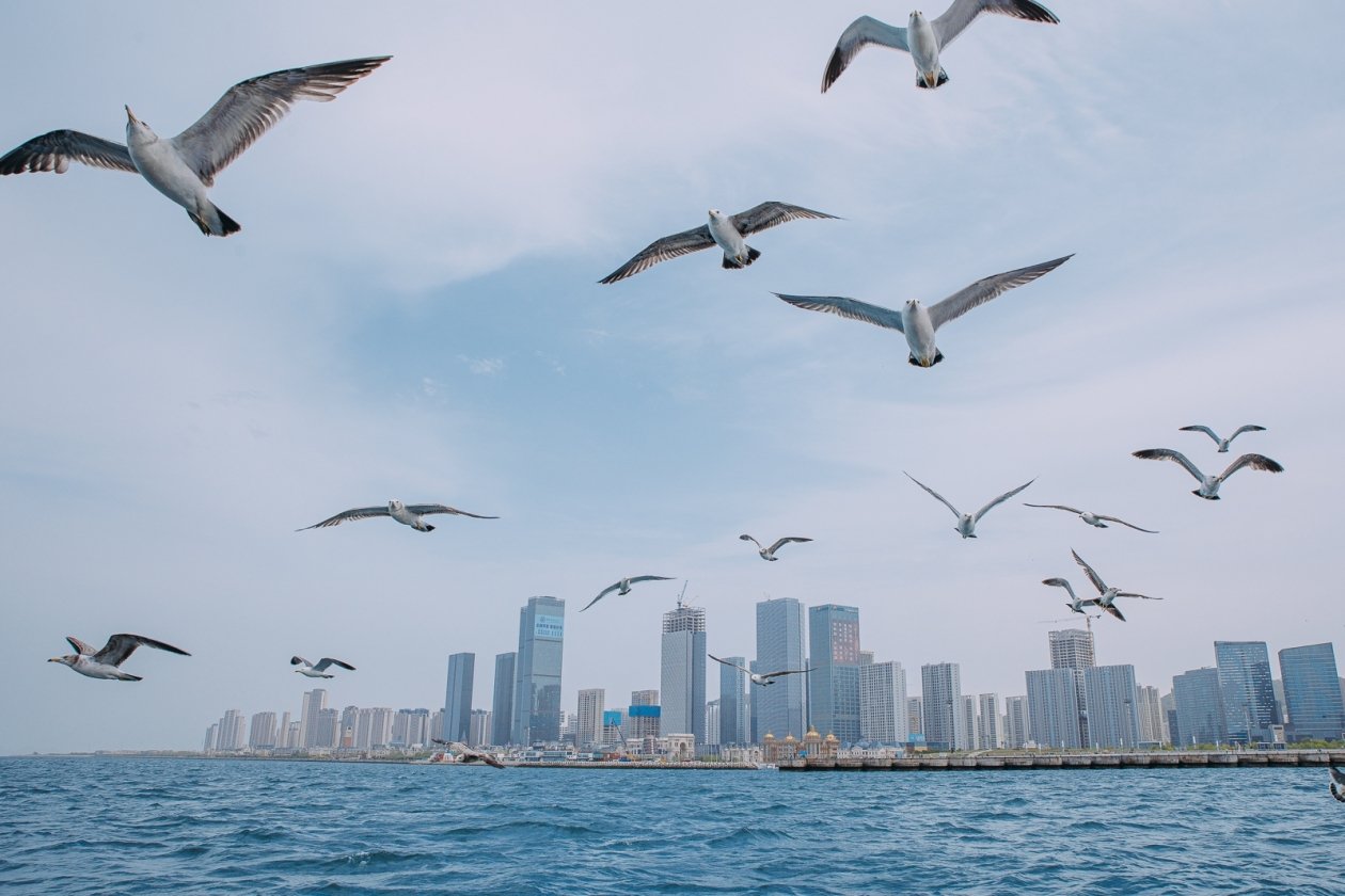 Куда сейчас полететь отдыхать почти даром Мария Смитюк, ИА PrimaMedia